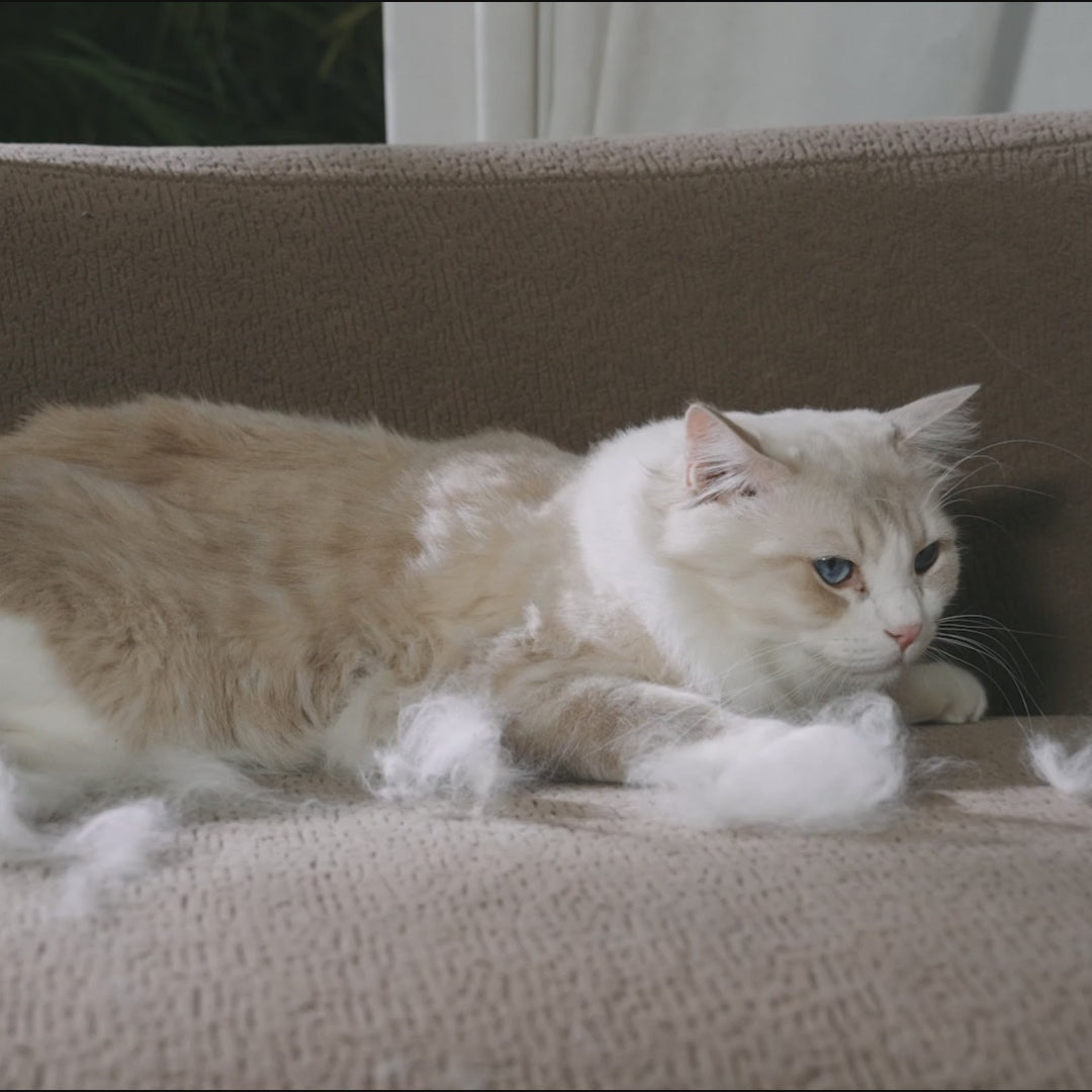 Pet Hair Removal Glove